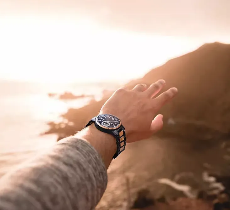 BOBO BIRD LUXURY DESIGN UPSCALE BUSINESS MECHANICAL WATCH