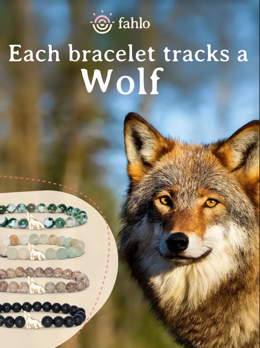 BRACELETS- FAHLO TRACKING