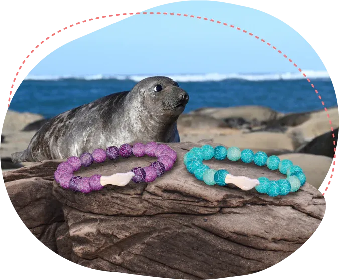 BRACELETS- FAHLO TRACKING