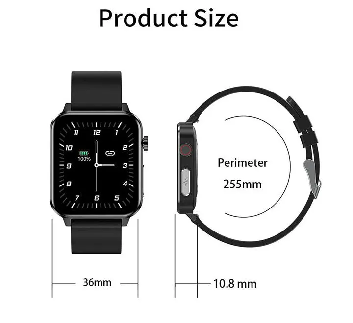 E86 Smartwatch (Brown Leather)