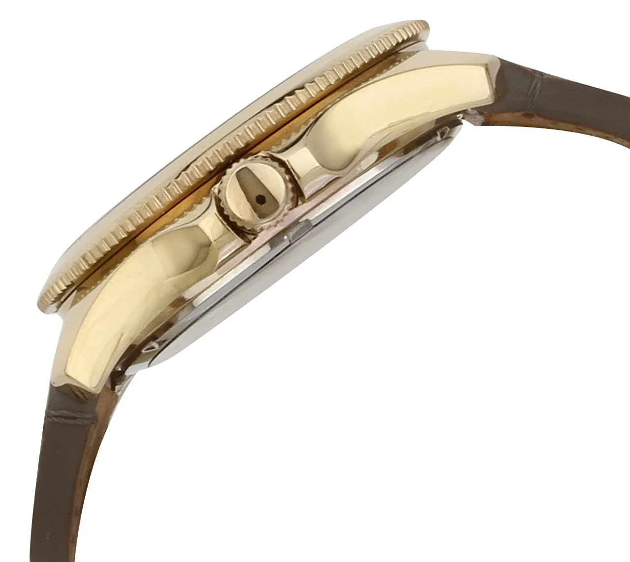 Fossil End of Season Analog Gold Dial Women's Watch AM4529