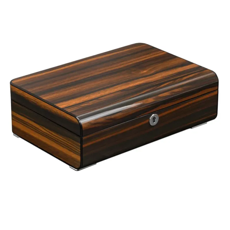 Luxury 6 Slots Watch Display Box and Jewelry Organizer
