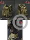 Rare Hot Toys U.S. Army Ranger 75th Ranger Regiment with MK16 Scar-L Mint in Box