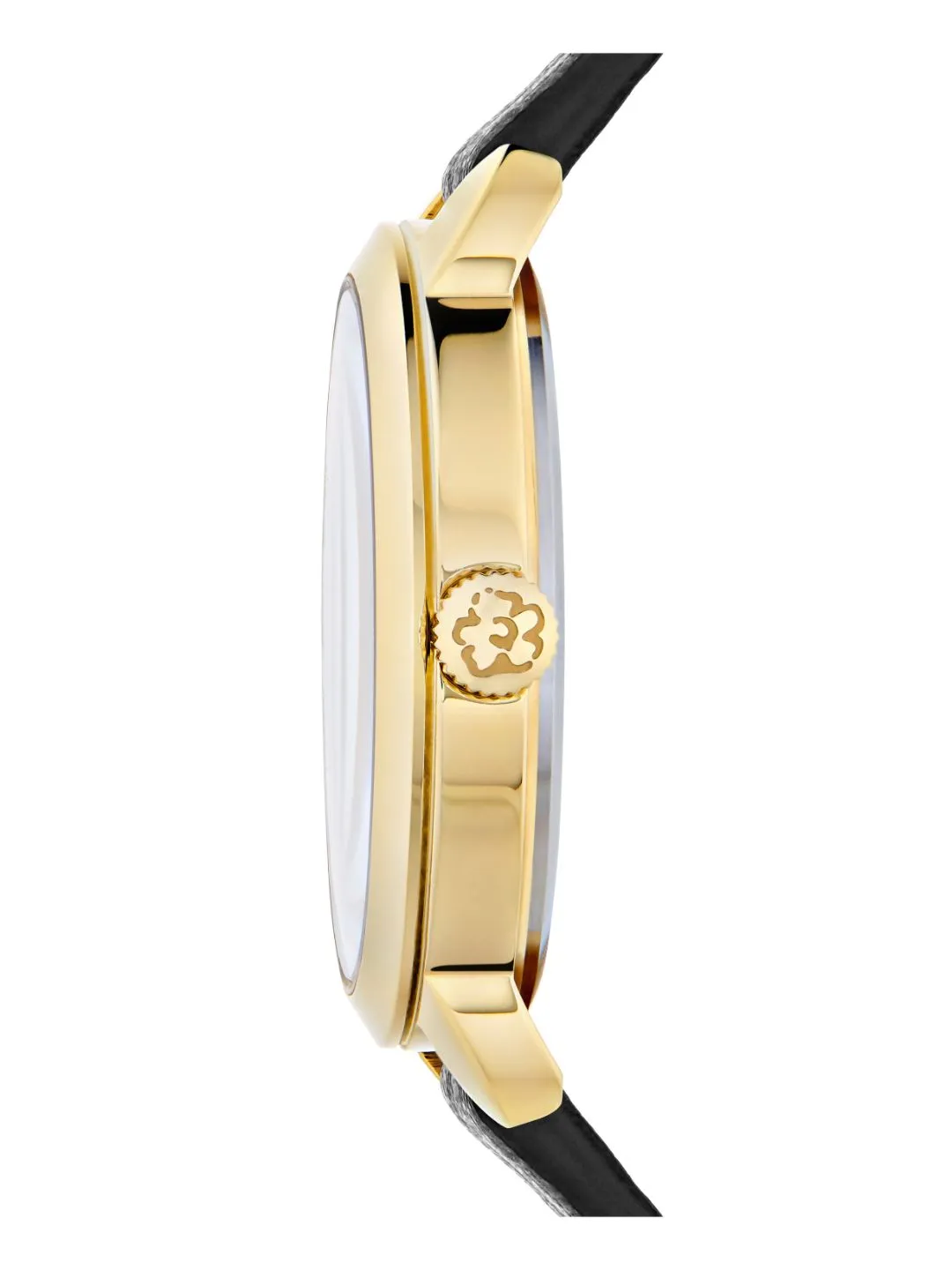 Ted Baker Women Black Wrist Watch - BKPFLS302